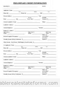 Preliminary Credit Application Preliminary Credit Application